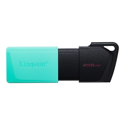 Clé USB 3.2 Kingston Data Traveler Exodia M 256 Go